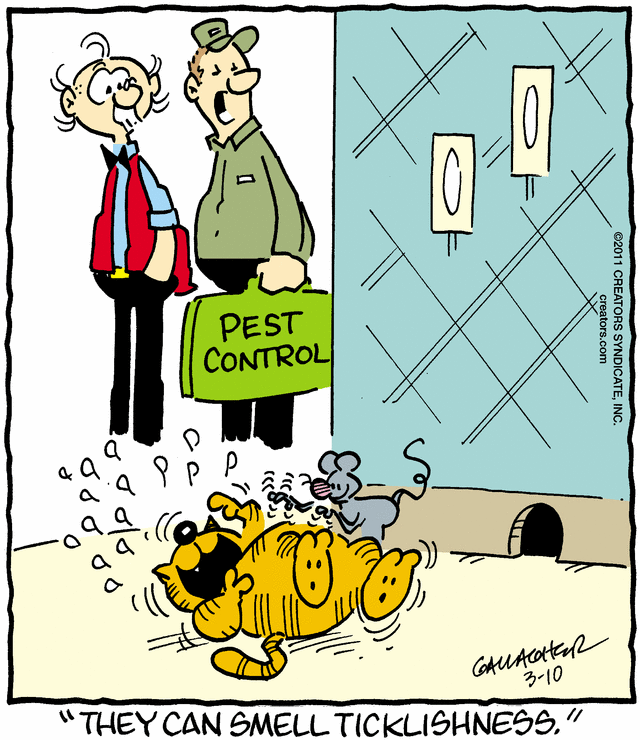 heathcliff